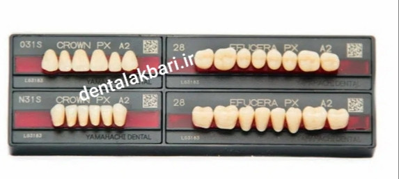 دندان خارجی یاماهاچی ژاپن