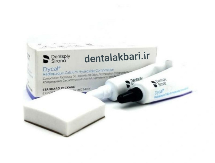 دایکال دنسپلی